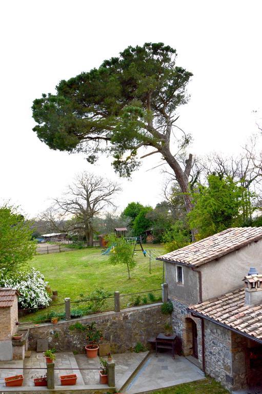 Agriturismo Tenuta Buon Respiro Orvieto Esterno foto
