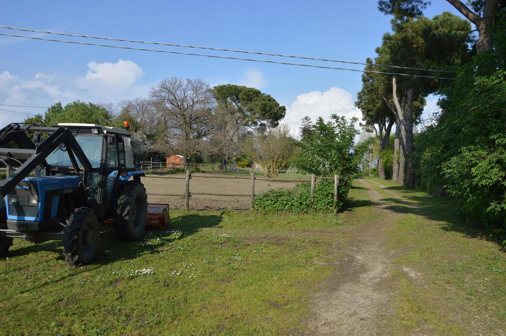 Agriturismo Tenuta Buon Respiro Villa Orvieto Esterno foto